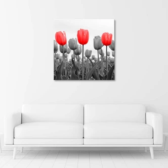 Tableau sur toile, Tulipes rouges dans un pré 