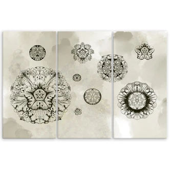 Leinwandbild 3 teilig, Florale geometrische Formen 