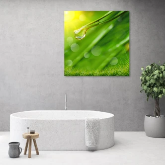 Leinwandbild, Tau auf dem Gras 