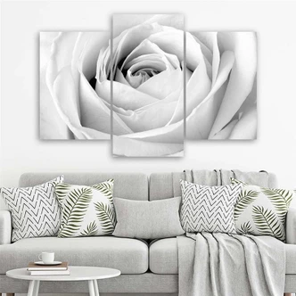 Leinwandbild 3-teilig, Weiße Rose Blumen 