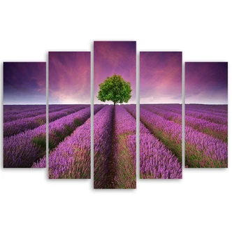 Leinwandbild 5 teilig, Lila Wiese Blumen 
