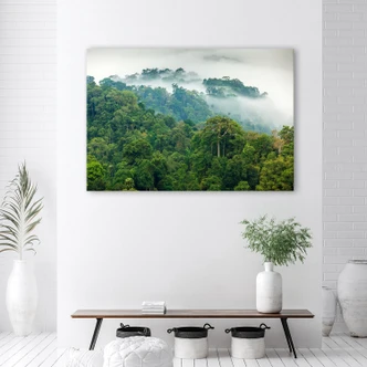 Canvasbillede, Skov i tåge landskab 