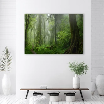 Leinwandbild, Tropischer Dschungel 