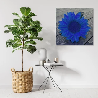 Leinwandbild, Blaue Sonnenblume 