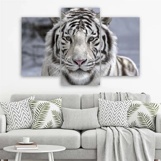 Leinwandbild 3-teilig, Tiger Wild Tier Schwarz Weiß 