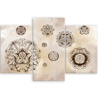 Leinwandbild 3 teilig, Florale geometrische Formen 