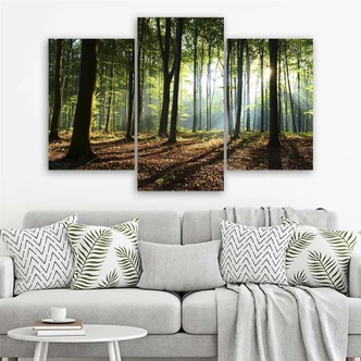 Leinwandbild 3-teilig, Wald Bäume Sonnenstrahlen 