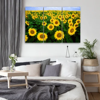Leinwandbild 3-teilig, Sonnenblumen Wiese 