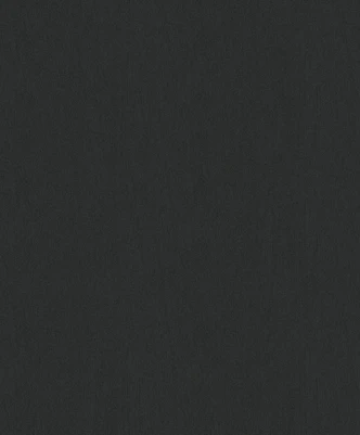 Vliesbehang effen modern in zwart  