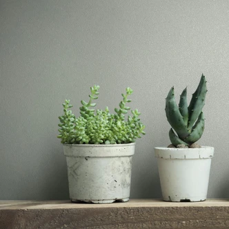 Vliestapete Strukturiert Uni Modern matt in Hellrau Vliestapete Strukturiert Uni Modern matt in Hellrau