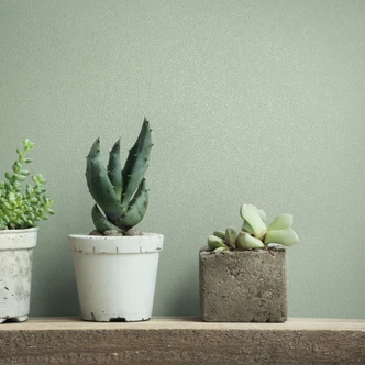 Papel pintado no tejido texturado liso moderno mate en verde Papel pintado no tejido texturado liso moderno mate en verde