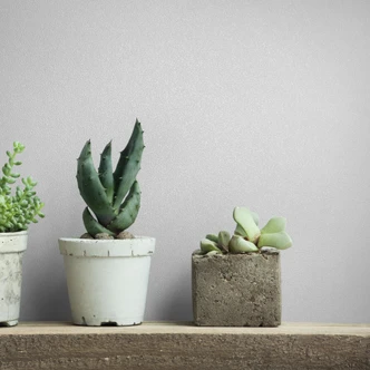 Vliestapete Strukturiert Uni Modern matt in Weiß Vliestapete Strukturiert Uni Modern matt in Weiß