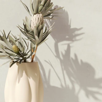 Vliestapete Strukturiert Uni Modern matt in Beige 