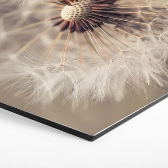 Hexagon - Alu-Dibond Delgado - Paardebloem 