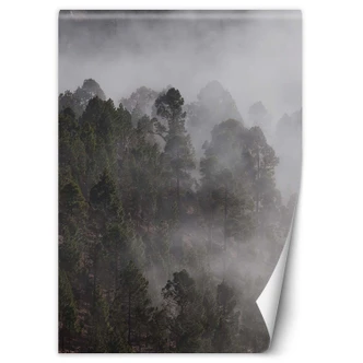 Fototapete, grüner Wald im Nebel Fototapete, grüner Wald im Nebel