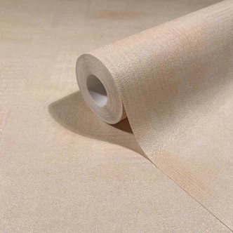 Vliestapete Putzoptik, Betonoptik Uni Geometrisch matt in Beige 