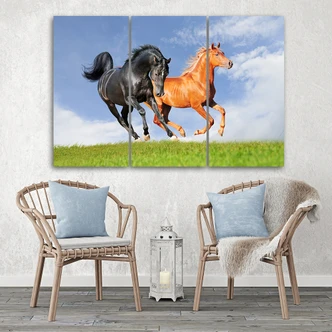 Leinwandbild 3-teilig, Pferde im Galopp Leinwandbild 3-teilig, Pferde im Galopp