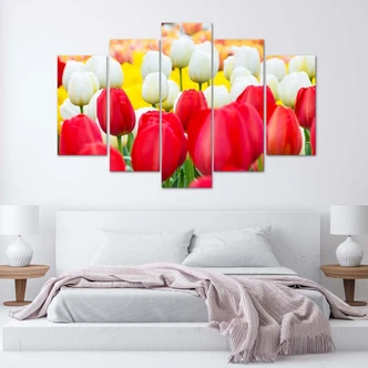 Leinwandbild 5 teilig, Tulpe Rot Weiß 