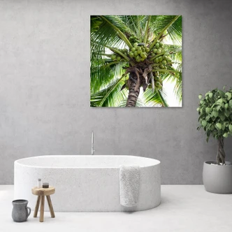 Leinwandbild, Kokusnuss-Palme 