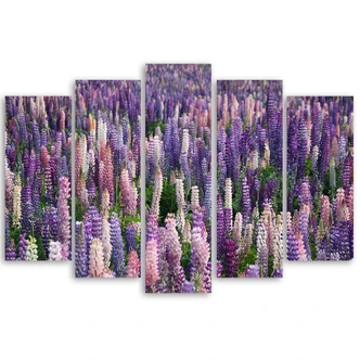 Leinwandbild 5 teilig, Lila Blumen Wiese Pflanzen 