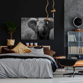 Jumbo, the Little Elephant Canvas print Jumbo, the Little Elephant Canvas print