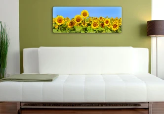 Tableau en verre - Champ de tournesols - Panorama 