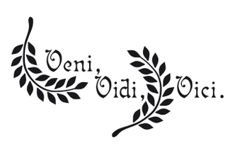 Wandtattoo Veni, Vidi, Vici 