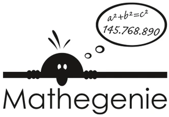 Wandtattoo Mathegenie 