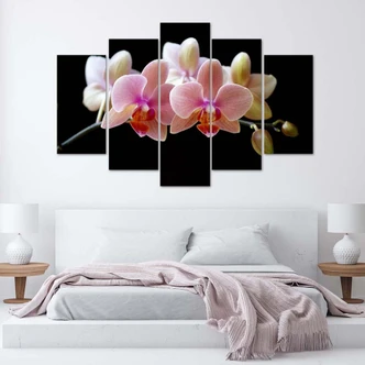 Leinwandbild 5 teilig, Rosa Orchidee 