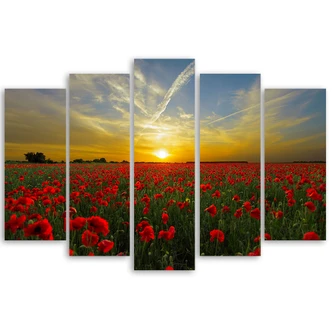 Leinwandbild 5 teilig, Feld Mohn Sonnenuntergang Landschaft 