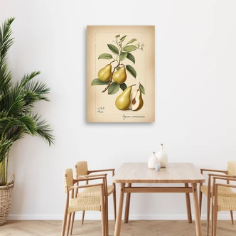 Leinwandbild, Obst Weinlese-Birne Leinwandbild, Obst Weinlese-Birne
