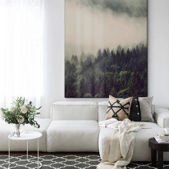 Acrylglas foto Mist in het bos 02 