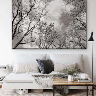 Tableau en verre acrylique Cimes des arbes dans le ciel 