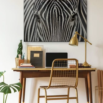 Acrylglasbild Blicke 