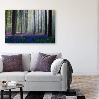 Acrylglas Popan - Hyacinthen 