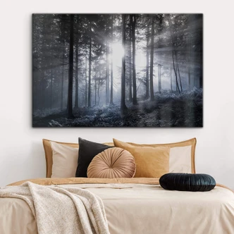 Acrylic print Sunbeams in the Forest Blue 