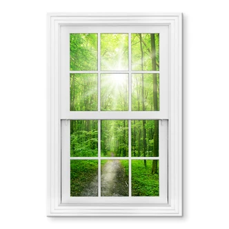 Tableau sur verre acrylique Sunny Forest 