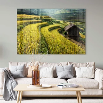Tableau sur verre acrylique Intarob - rizières au Vietnam 