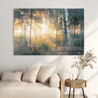 Tableau sur verre acrylique Soleil dans la forêt de bouleaux - Kado 