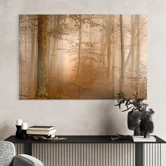 Tableau en verre acrylique Brume et lumière dans la forêt d'automne - Maier 