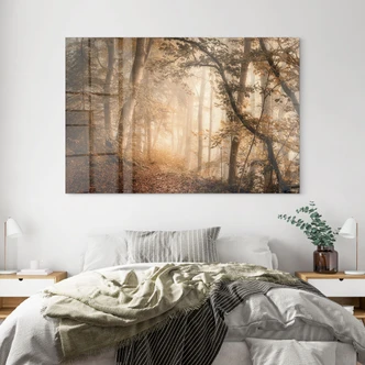 Tableau sur verre acrylique Forêt dans la brume du matin - Maier 