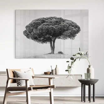 Tableau sur verre acrylique Martin - Arbre en noir et blanc 