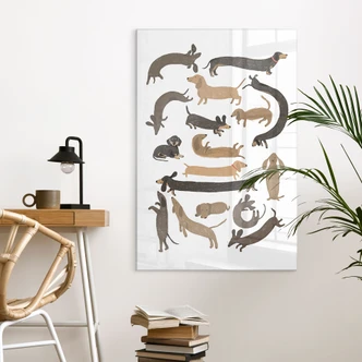 Tableau sur verre acrylique Teckels enjoués - Illustration de chien - Melin 