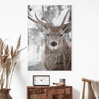 Acrylglasbild Hirsch im Schneegestöber - Strigel 