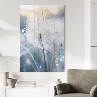 Acrylglasbild Funkelnde Pusteblumen - Treechild 