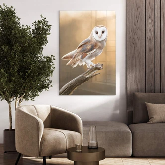 Plexiglas van Duijn - Kerkuil Plexiglas van Duijn - Kerkuil