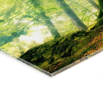 Acrylglas Kiciak - Sprookjesbos Acrylglas Kiciak - Sprookjesbos