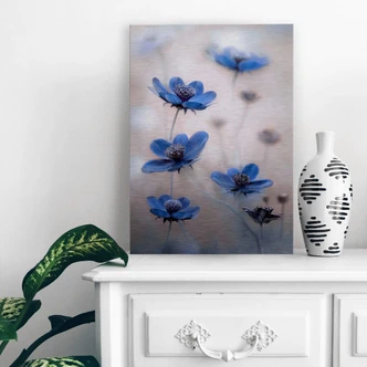 Alu-Dibond Disher - Blue Cosmos 