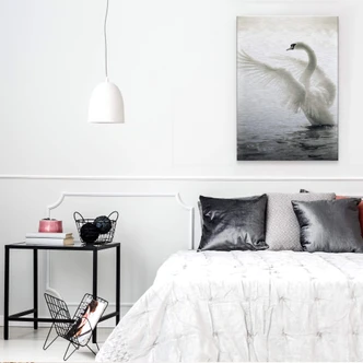 Aluminium Dibond Zwaan 