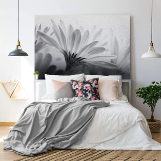 Stampa su Alu-Dibond - Margherita in dettaglio 